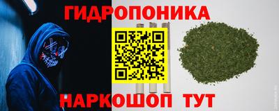 ALPHA PVP Ижевск